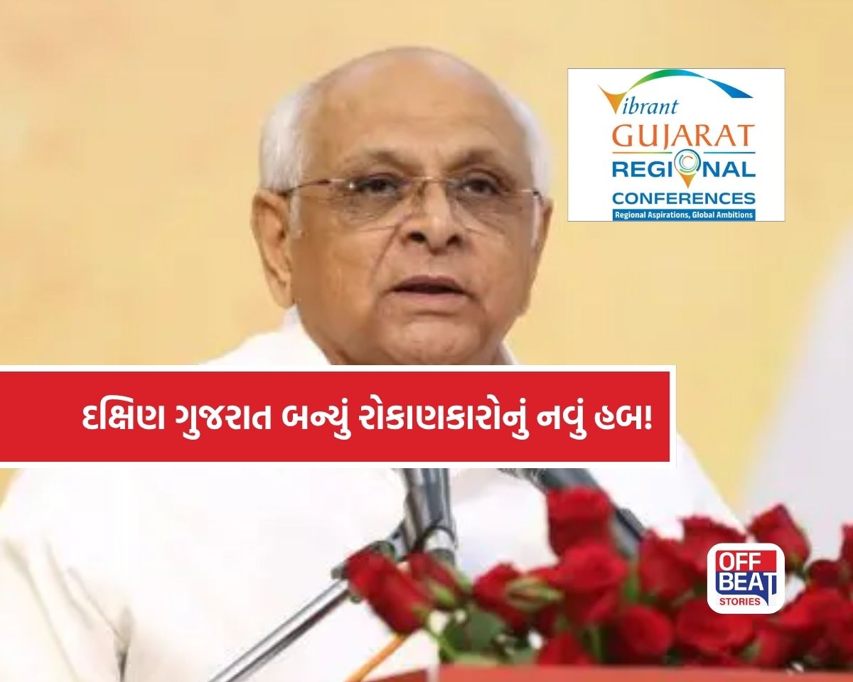 દક્ષિણ ગુજરાતે રોકાણકારો માટે ખોલ્યા વિકાસના નવા દ્વાર!