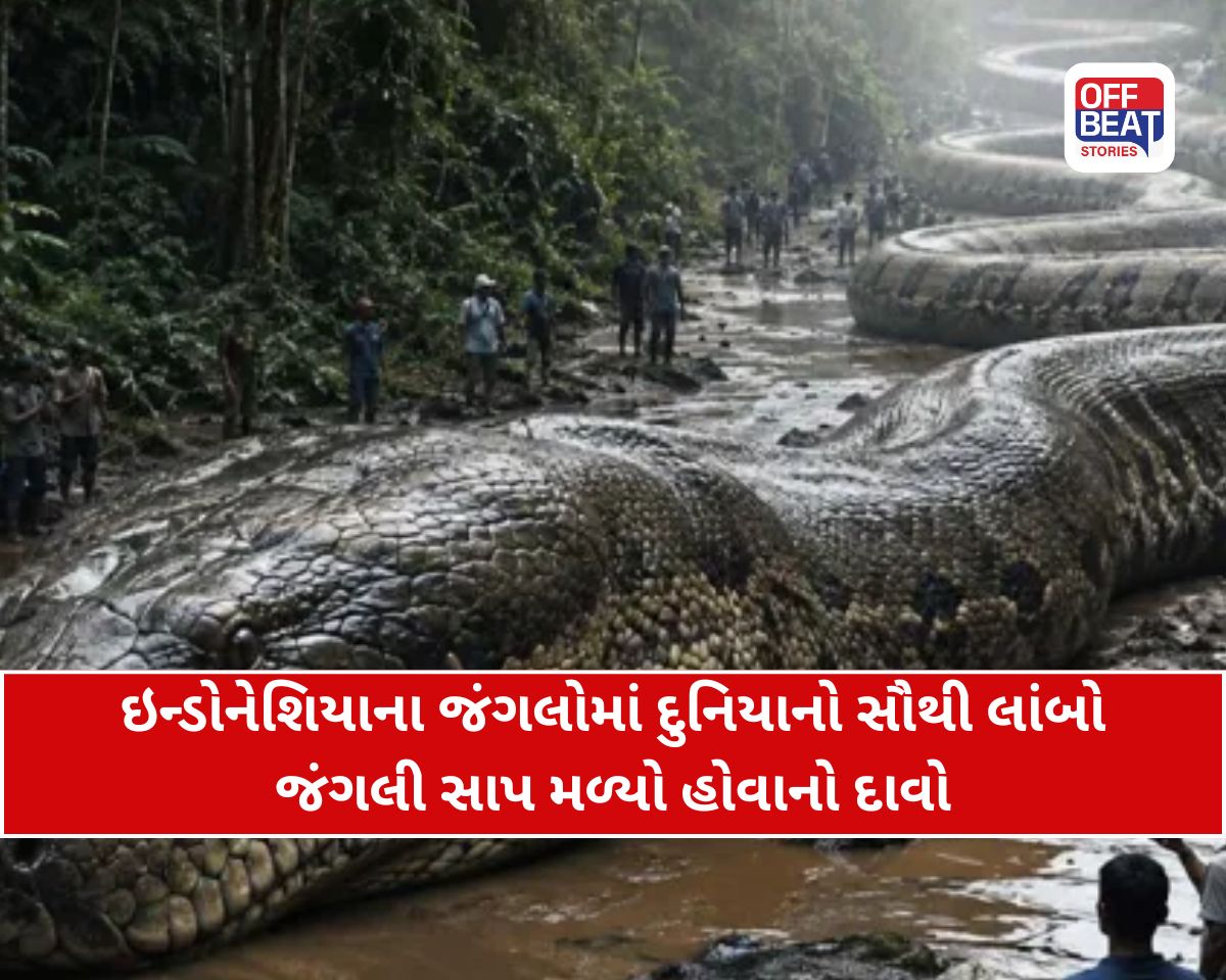 ઇન્ડોનેશિયામાં મળ્યો દુનિયાનો સૌથી લાંબો સાપ