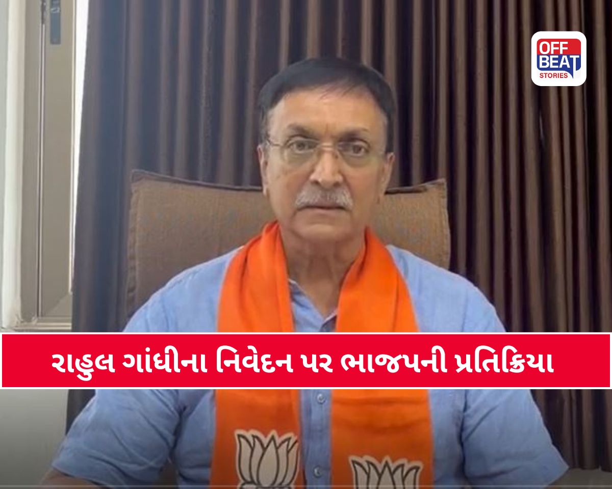 રાહુલ ગાંધીના નિવેદન પર ભાજપનો પલટવાર