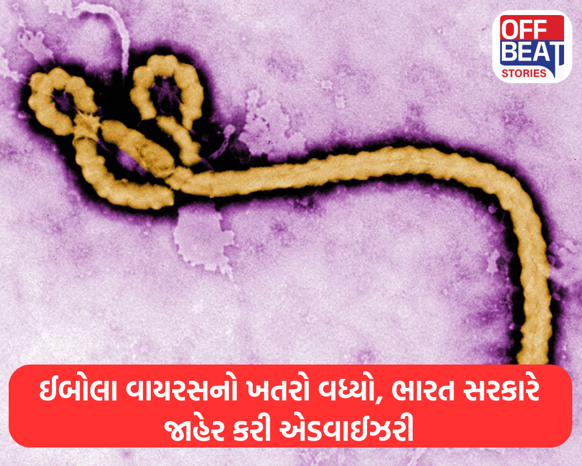 ઈબોલા વાયરસનો ખતરો વધ્યો, ભારત સરકારે જાહેર કરી એડવાઈઝરી