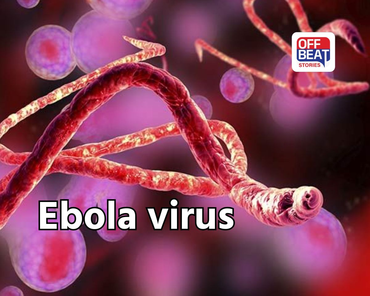 Ebola virus, India Africa Summit postponed