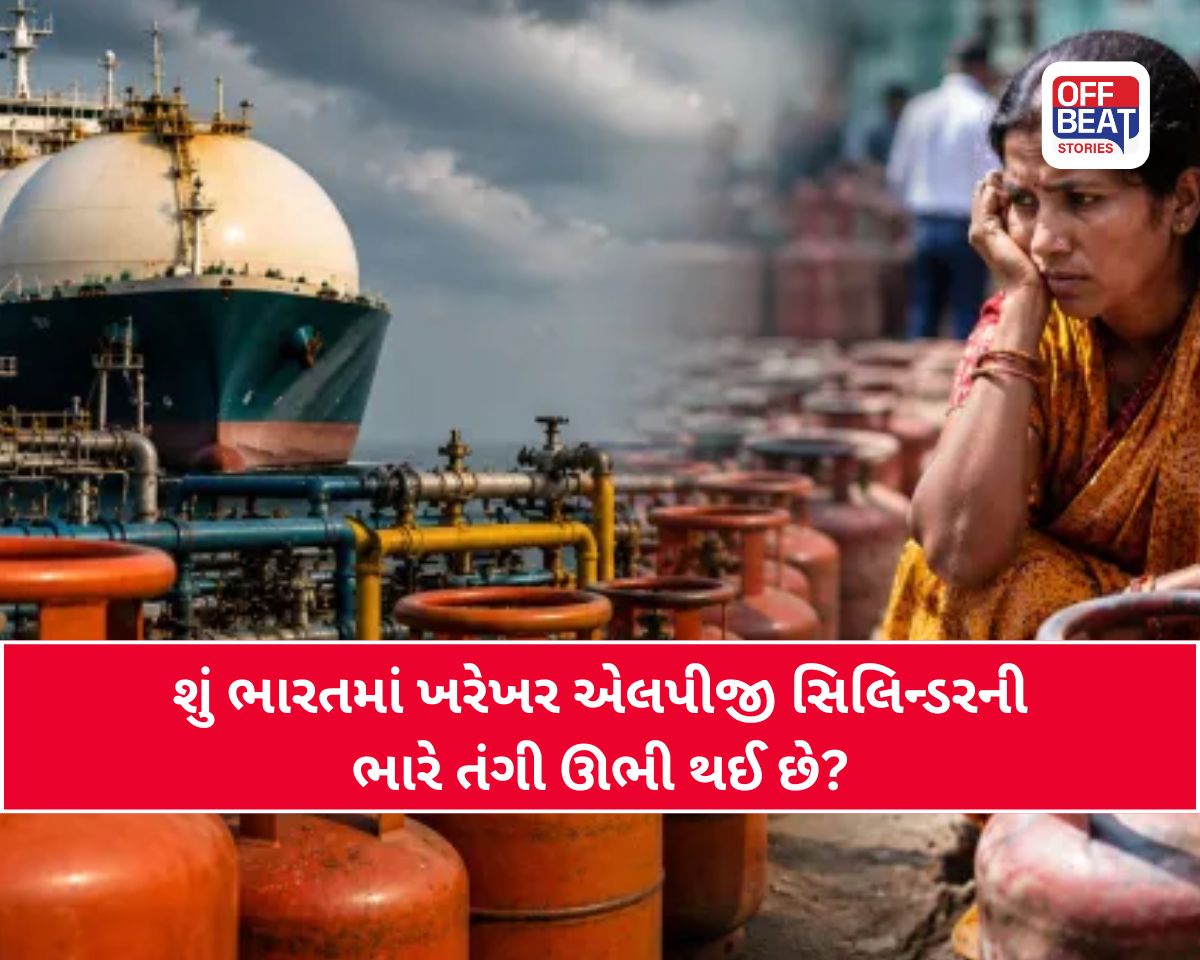 LPG Shortage India: શું સાચે જ રોજ 4 લાખ બેરલ LPGની અછત છે?