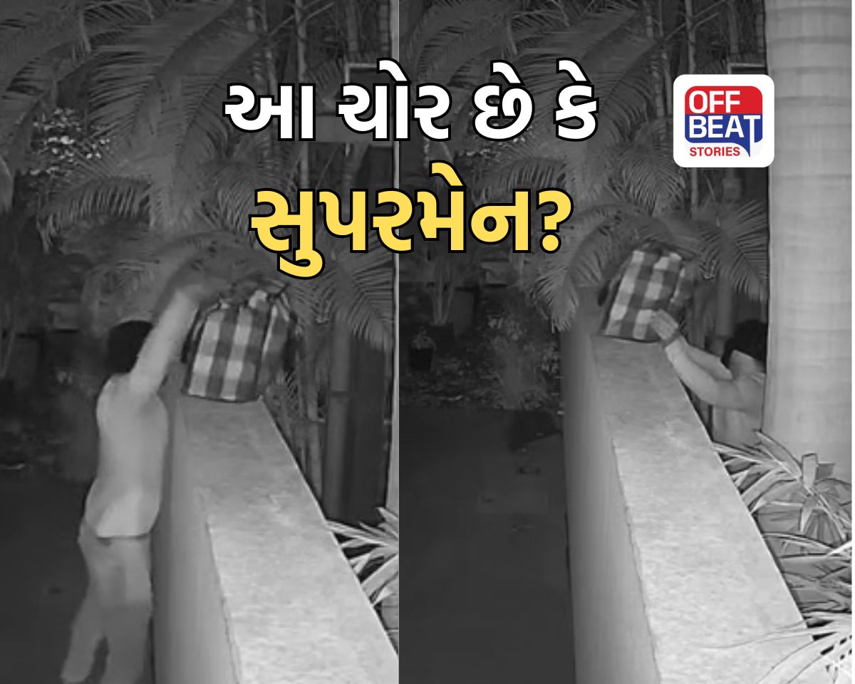 માત્ર 1 સેકન્ડમાં રૂ.48 લાખની બેગ દીવાલ પર ફેંકી