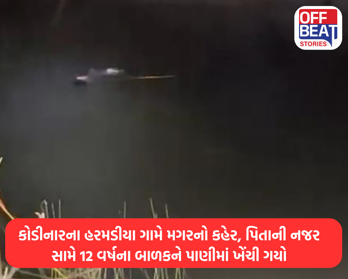 કોડીનારના હરમડીયા ગામે મગરનો કહેર