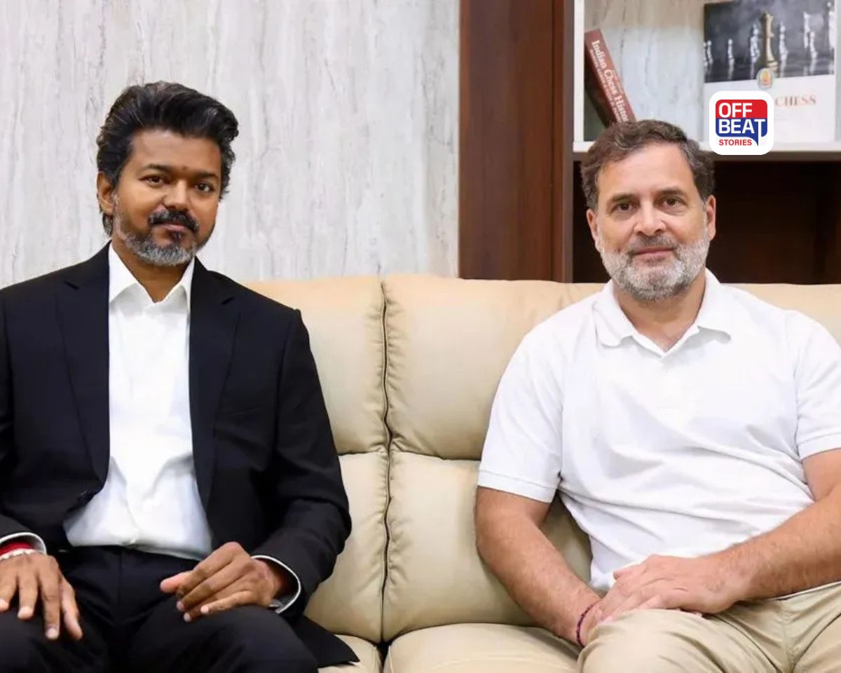 59 વર્ષ બાદ તમિલનાડુ સરકારમાં કોંગ્રેસની એન્ટ્રી, વિજય કેબિનેટ વિસ્તરણ