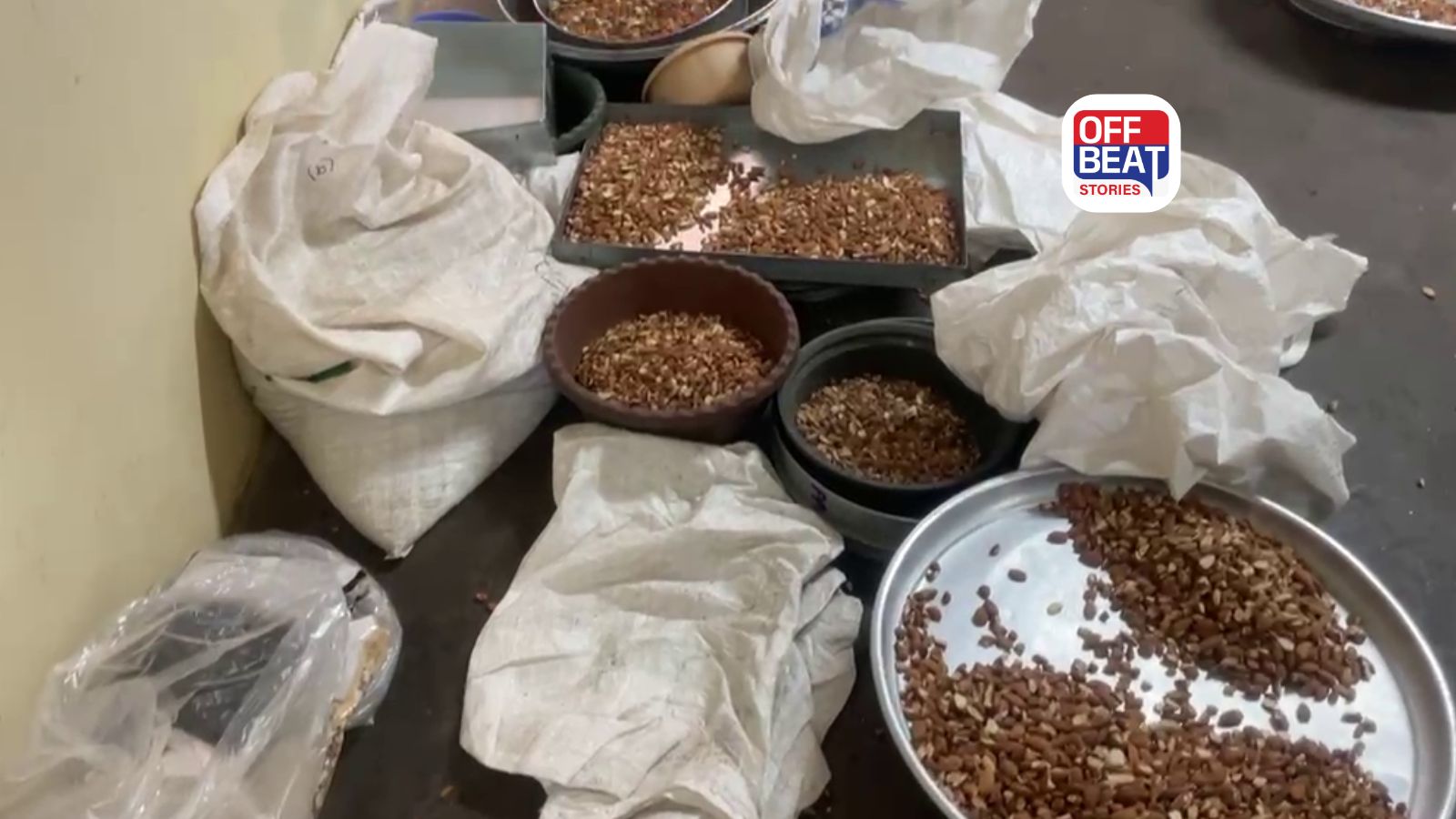 રાજકોટ બદામ