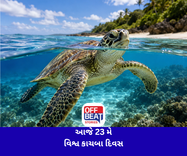 આજે 23 મે