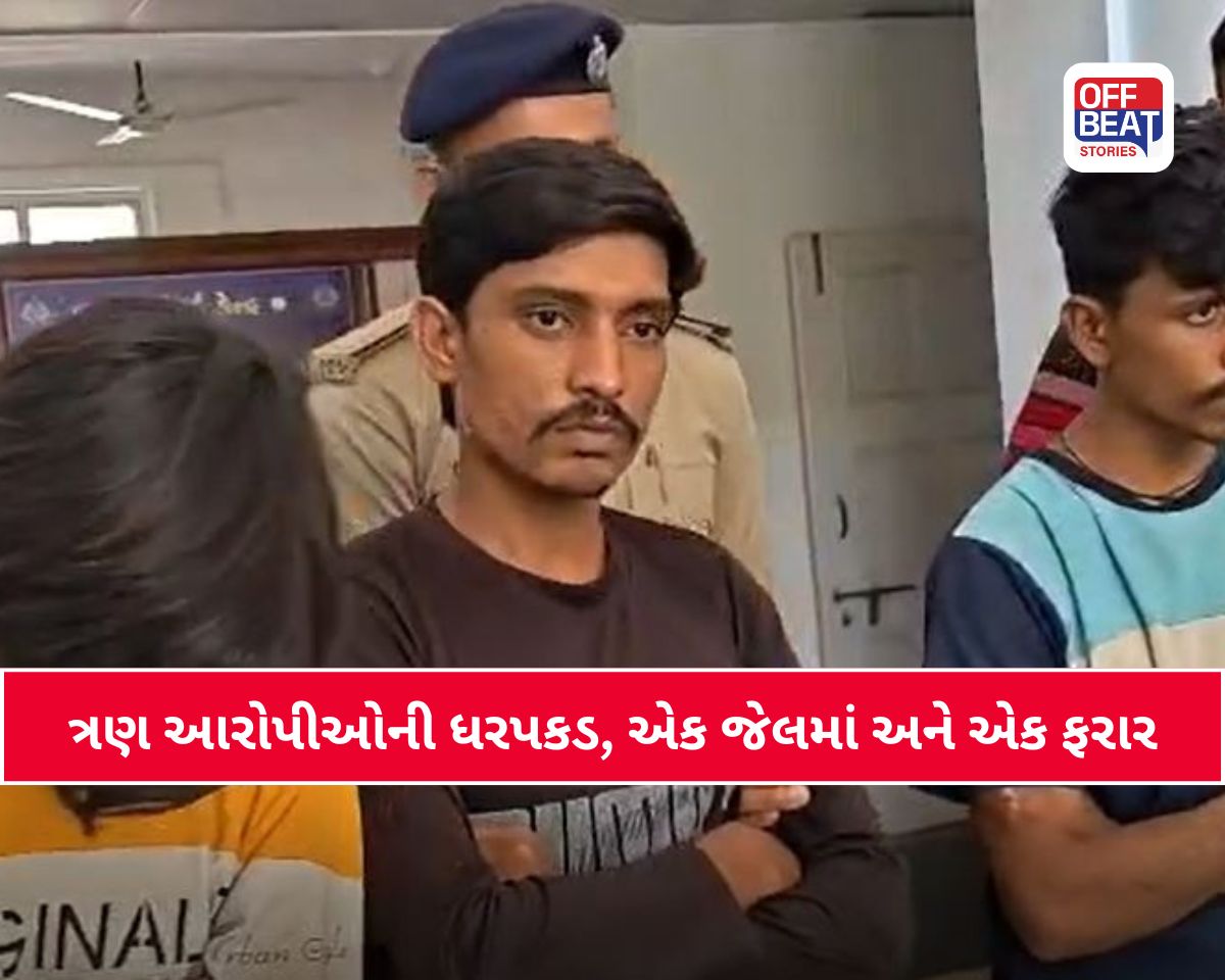 સુરેન્દ્રનગરમાં ગુનાહિત ટોળકી સામે મોટી કાર્યવાહી!