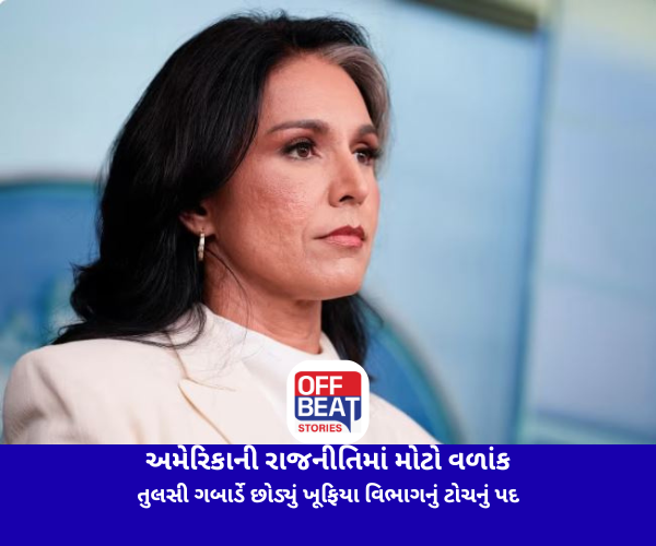 ulsi Gabbard, US Politics, Donald Trump