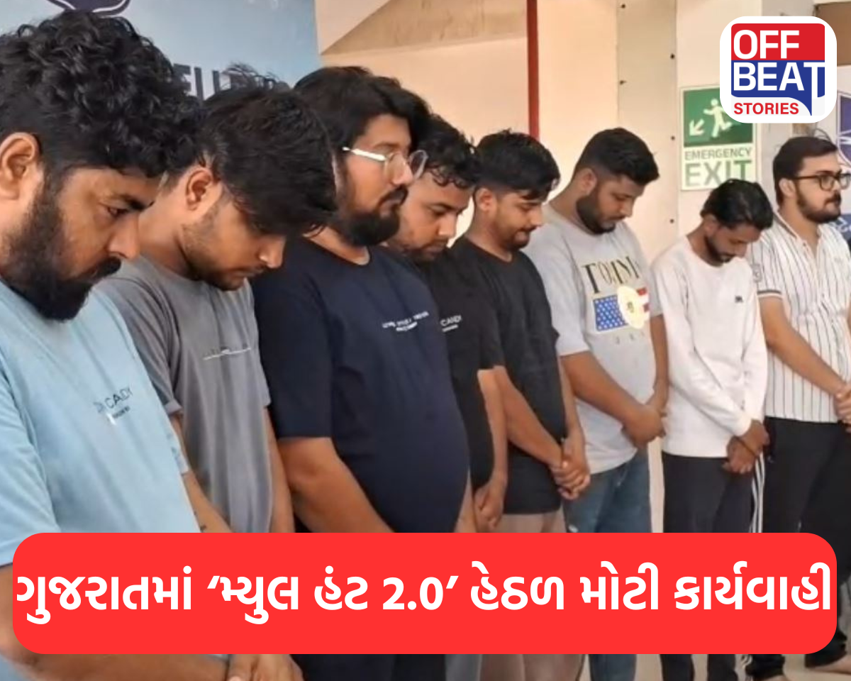 ગુજરાતમાં ‘મ્યુલ હંટ 2.0’ હેઠળ મોટી કાર્યવાહી