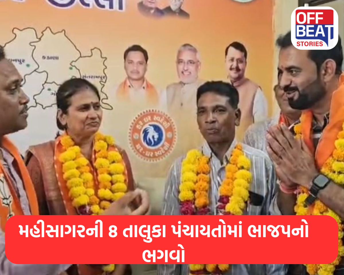 મહીસાગરની 8 તાલુકા પંચાયતોમાં ભાજપનો ભગવો
