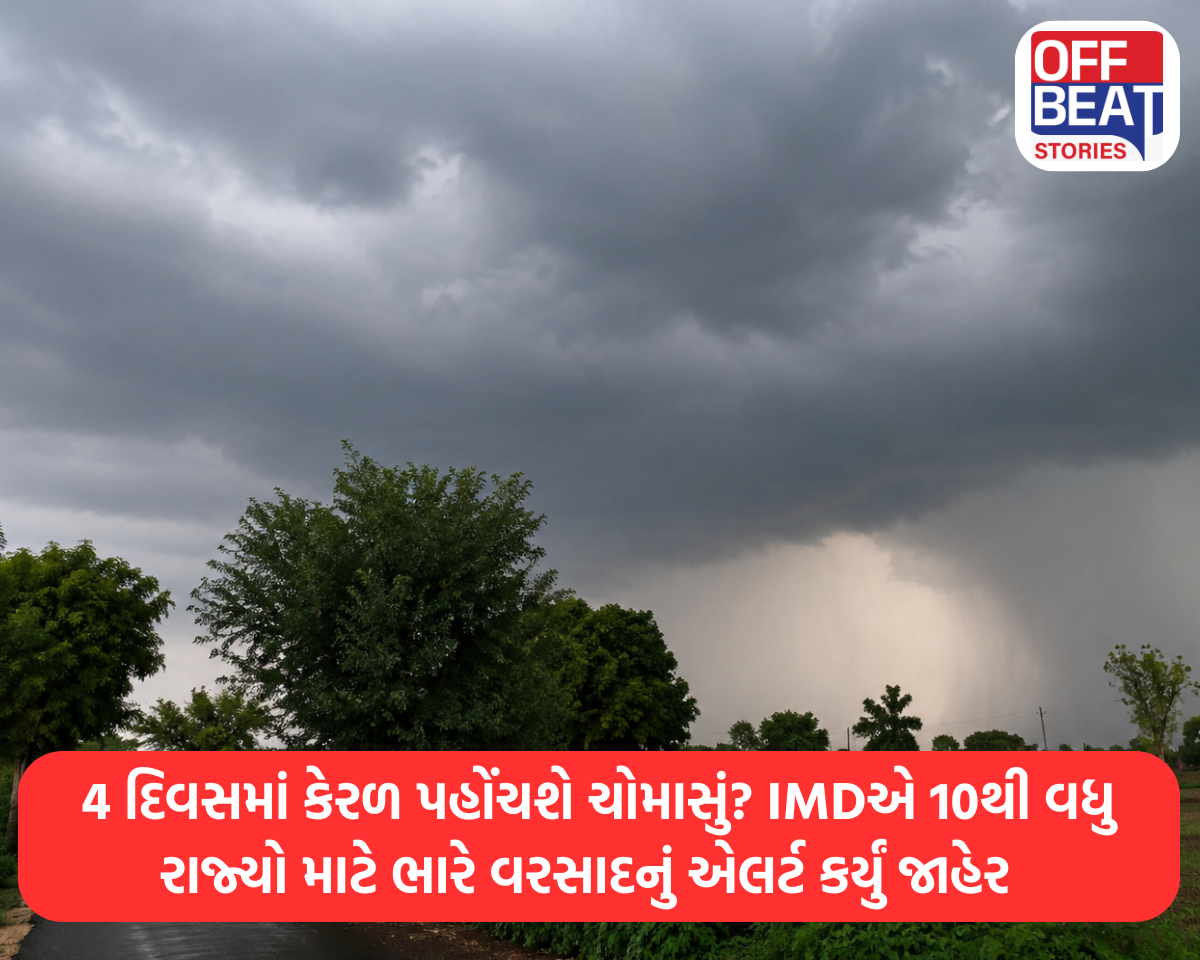 વરસાદી વાતાવરણની છબી