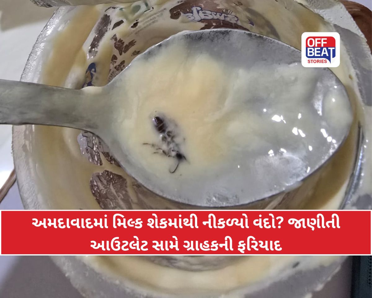 અમદાવાદમાં ફૂડ સેફ્ટીની ખુલી પોલ
