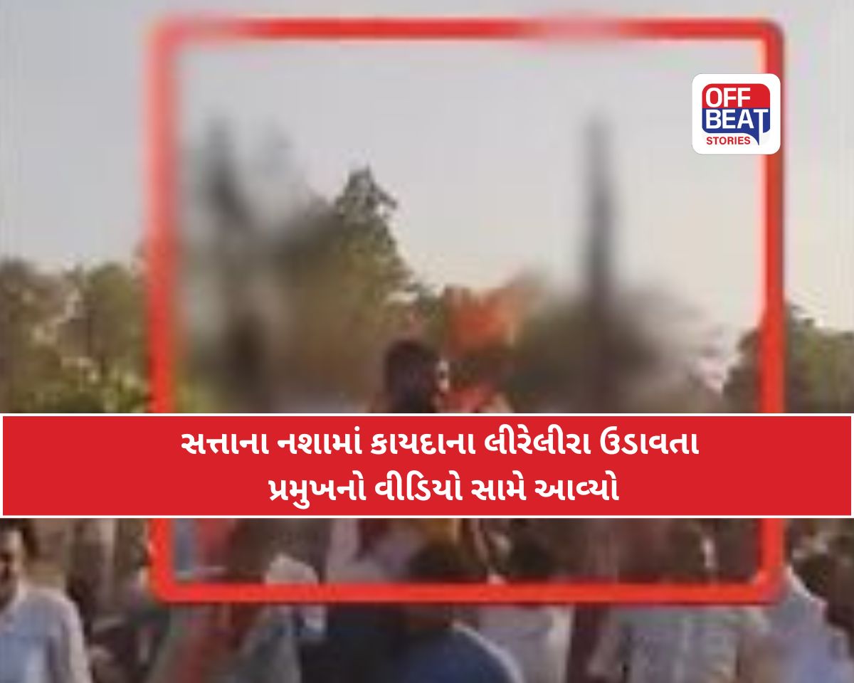 આ ગુજરાત છે કે અફઘાનિસ્તાન!