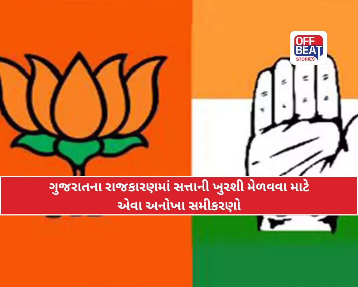 ગુજરાત પંચાયત ચૂંટણીમાં સત્તા માટે રમાયો અનોખો ખેલ