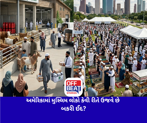 અમેરિકામાં મુસ્લિમ લોકો કેવી રીતે ઉજવે છે બકરી ઈદ?