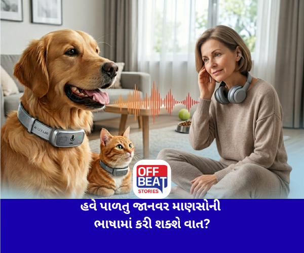 હવે પાળતુ જાનવર માણસોની ભાષામાં કરી શક્શે વાત?