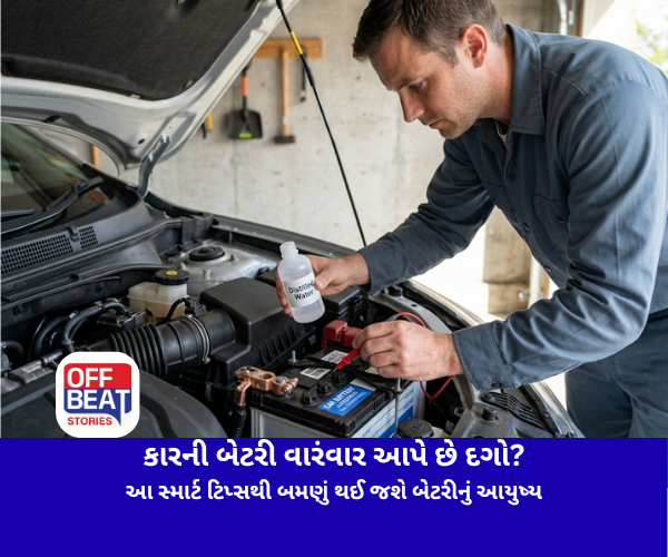 Car Battery, Maintenance