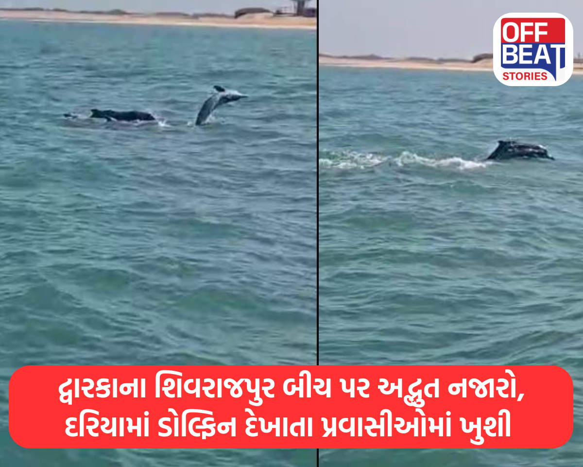 દ્વારકાના શિવરાજપુર બીચ પર અદ્ભુત નજારો