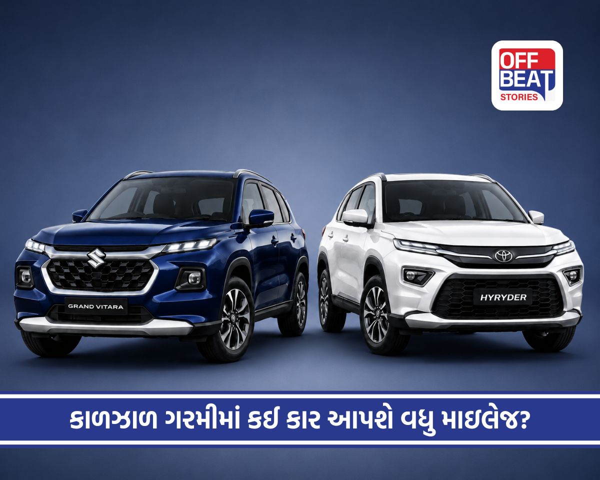 Grand Vitara and Hyryder
