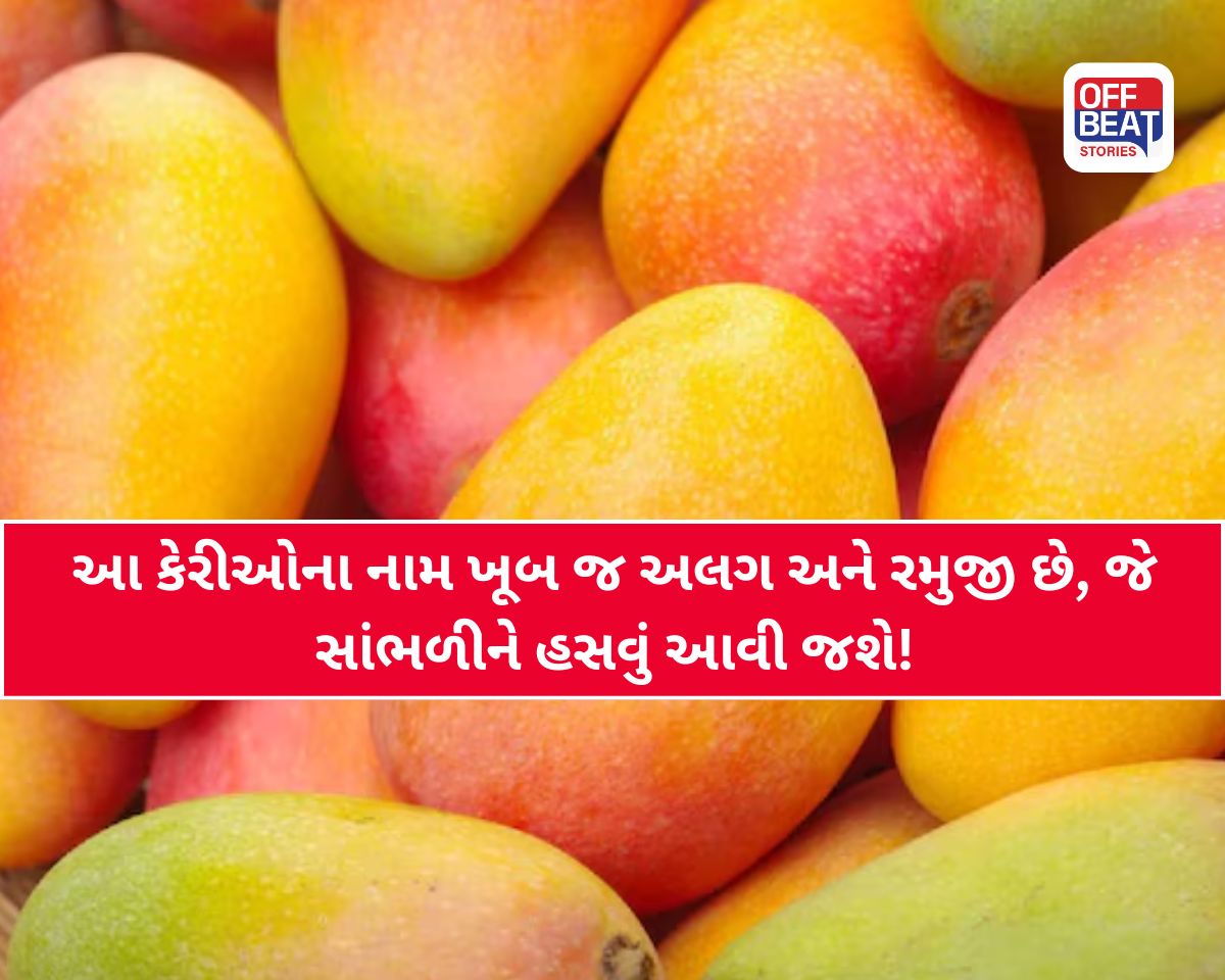 'તોતાપુરી' થી લઈને 'લંગડો' કેરી સુધી...!!