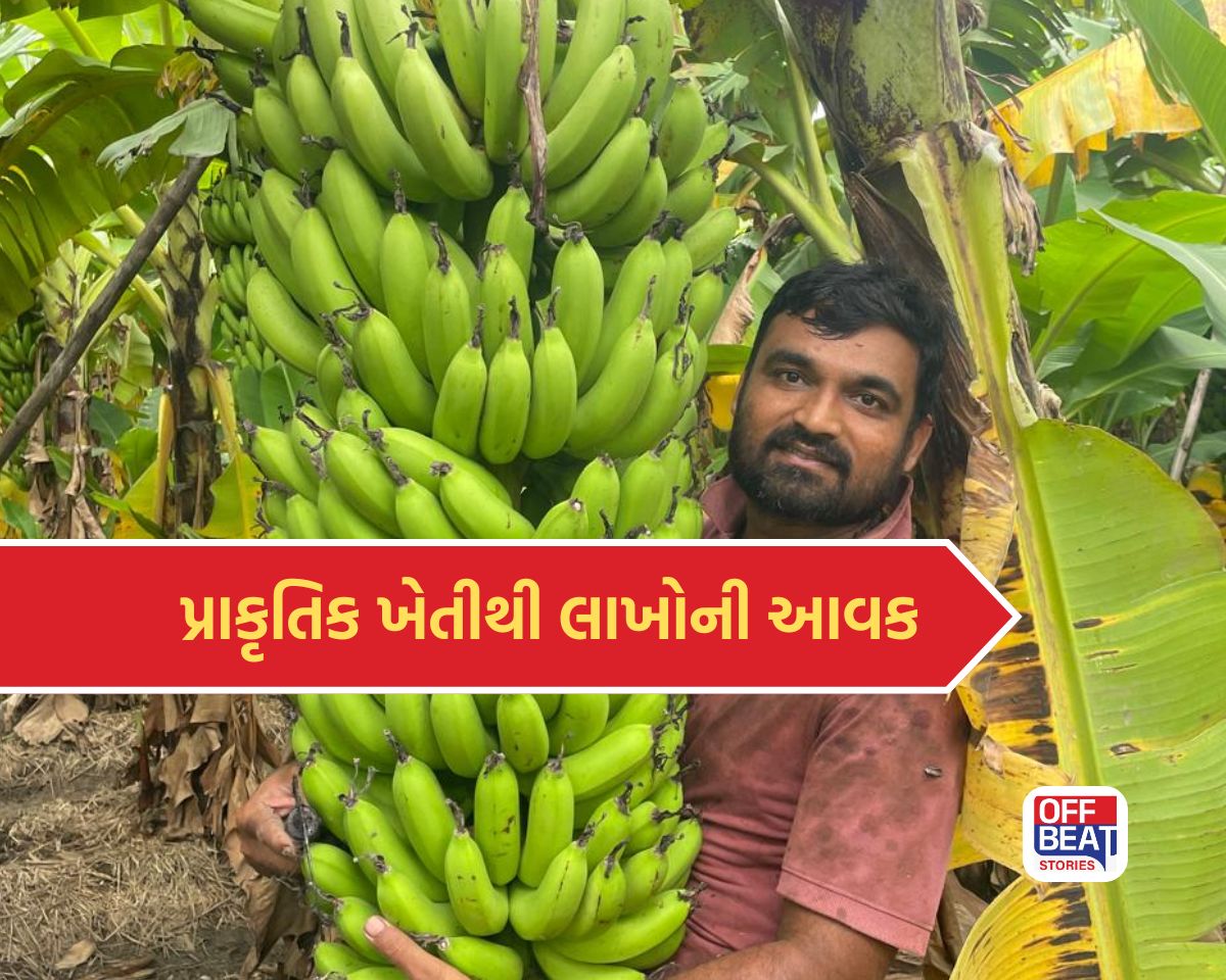 સુરતના કલ્પેશ પટેલે પ્રાકૃતિક ખેતીમાં રચ્યો ઇતિહાસ!