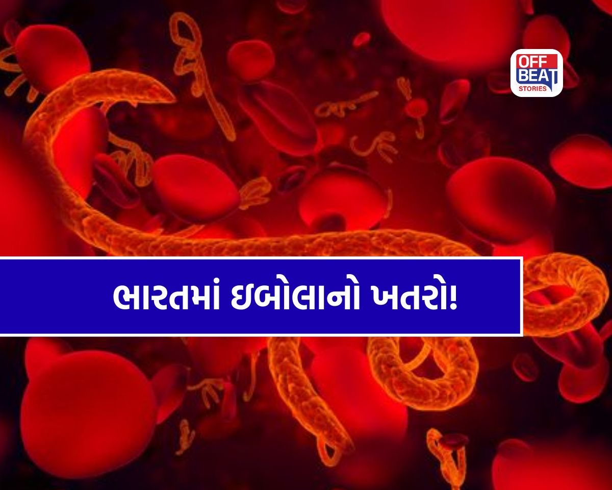 કર્ણાટકમાં ઇબોલાનો ફફડાટ!