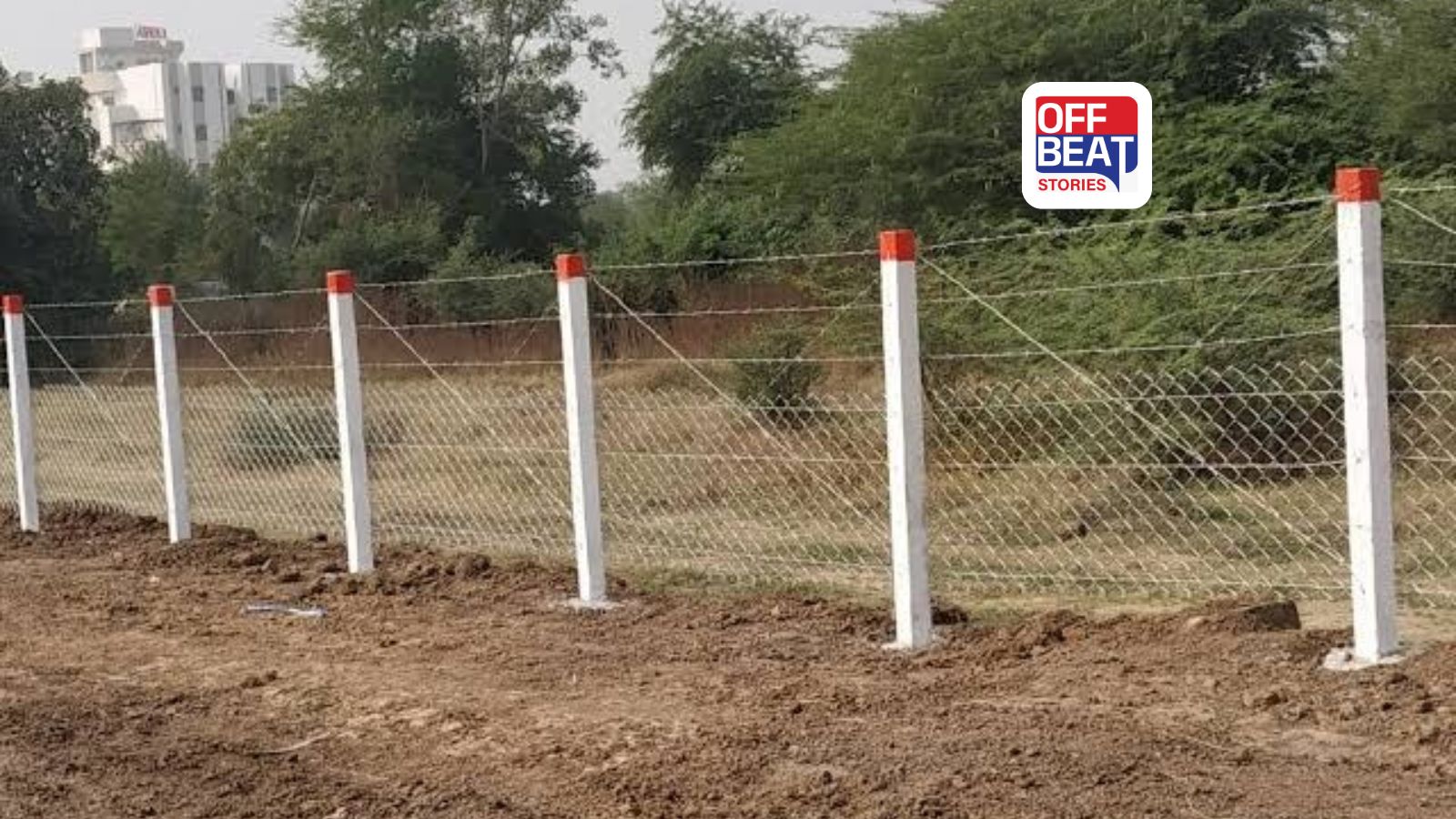 ગુજરાતના ખેડૂતો માટે સૌથી મોટી ખુશખબર