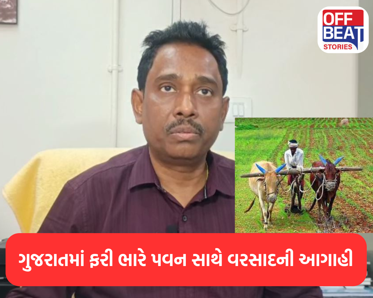 ગુજરાતમાં ફરી ભારે પવન સાથે વરસાદની આગાહી