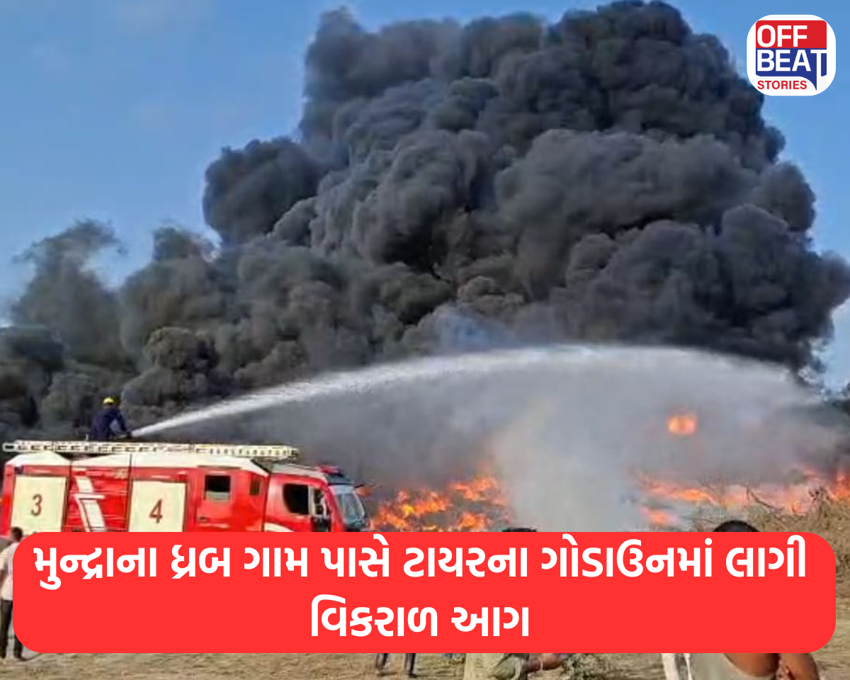 ટાયરના ગોડાઉનમાં લાગેલી આગની છબી