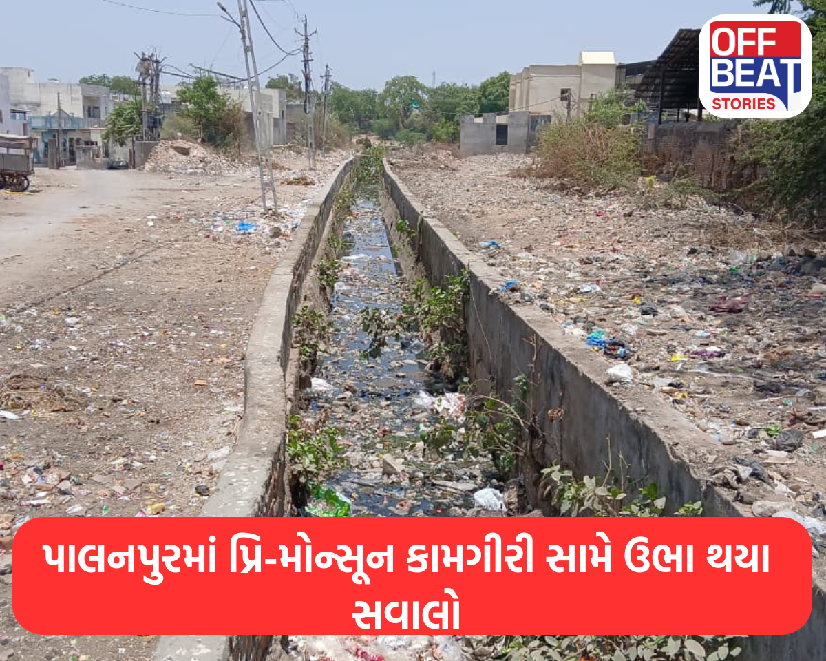 પાલનપુરમાં પ્રિ-મોન્સૂન કામગીરી સામે ઉભા થયા સવાલો