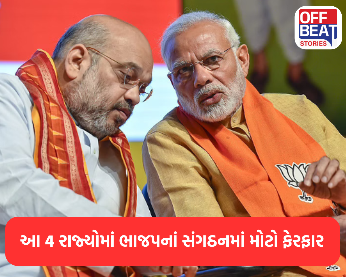 ભાજપ સંગઠનમાં મોટો ફેરબદલ