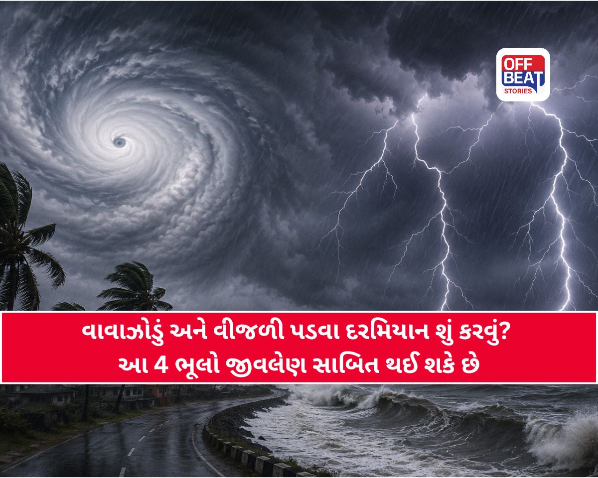 આંધી-વાવાઝોડા દરમિયાન આ 4 ભૂલો પડી શકે છે જીવલેણ