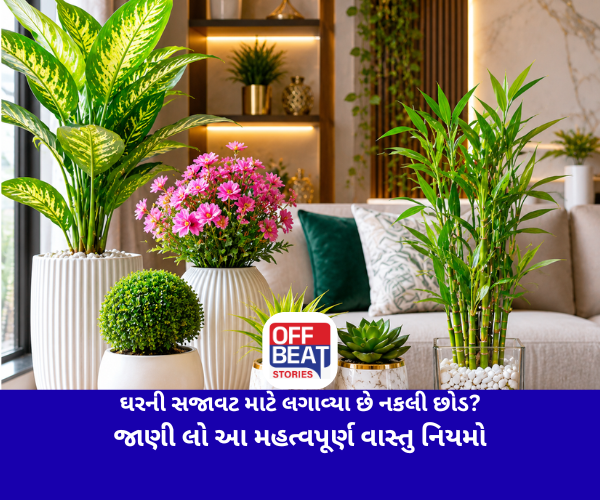 ઘરની સજાવટ માટે લગાવ્યા છે નકલી છોડ?