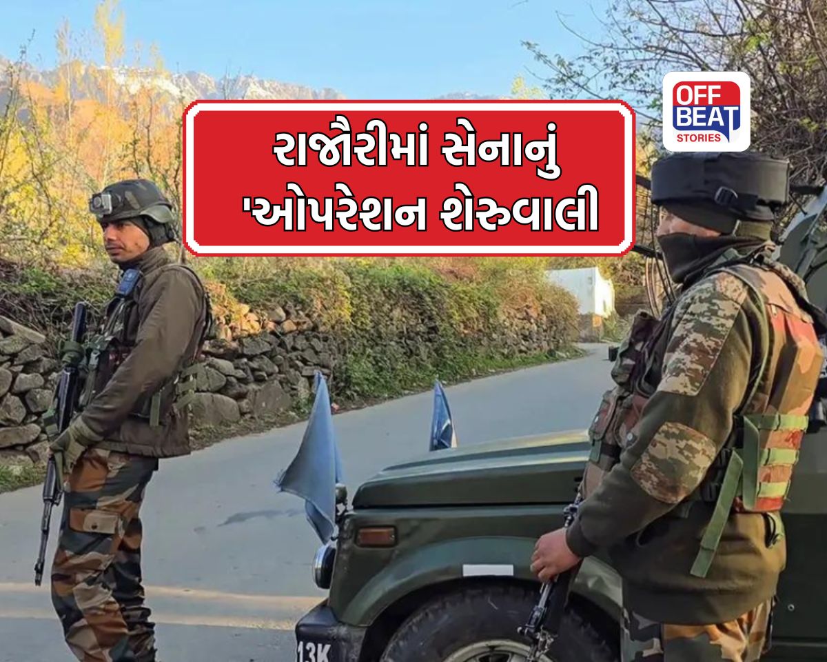 શું છે ઓપરેશન 'શેરુવાલી'?