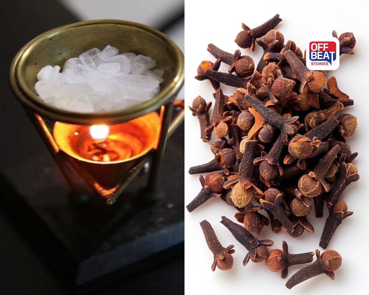 ઘરમાં રહે છે કલેશ? નકારાત્મકતા દૂર કરવાના વાસ્તુ ઉપાયો