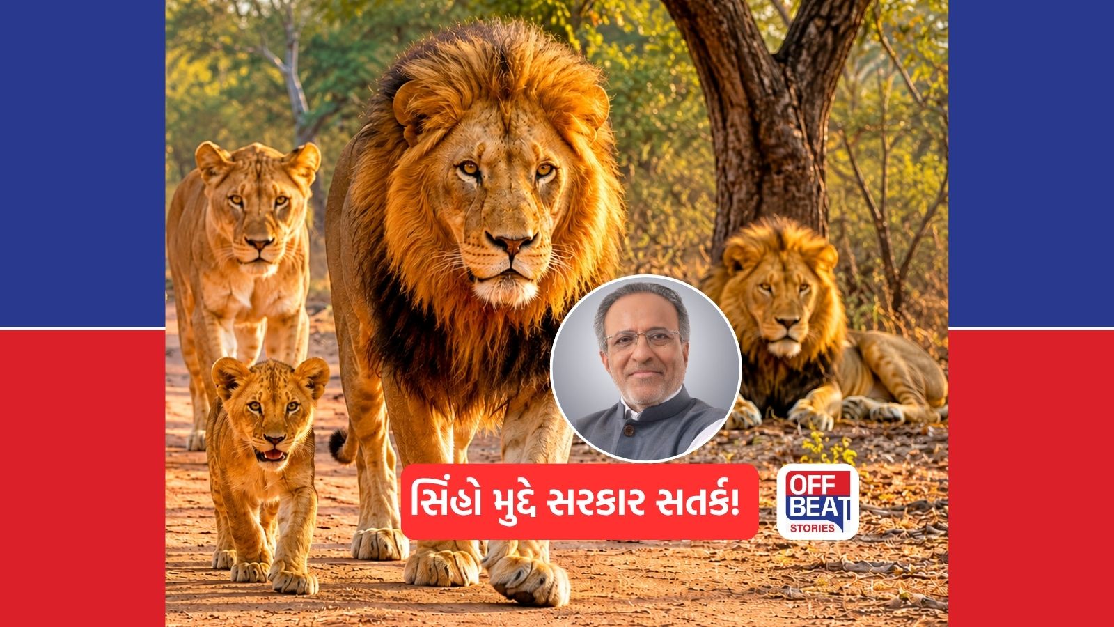 ગીરમાં બાળસિંહોના શંકાસ્પદ મોત બાદ વન વિભાગ એલર્ટ