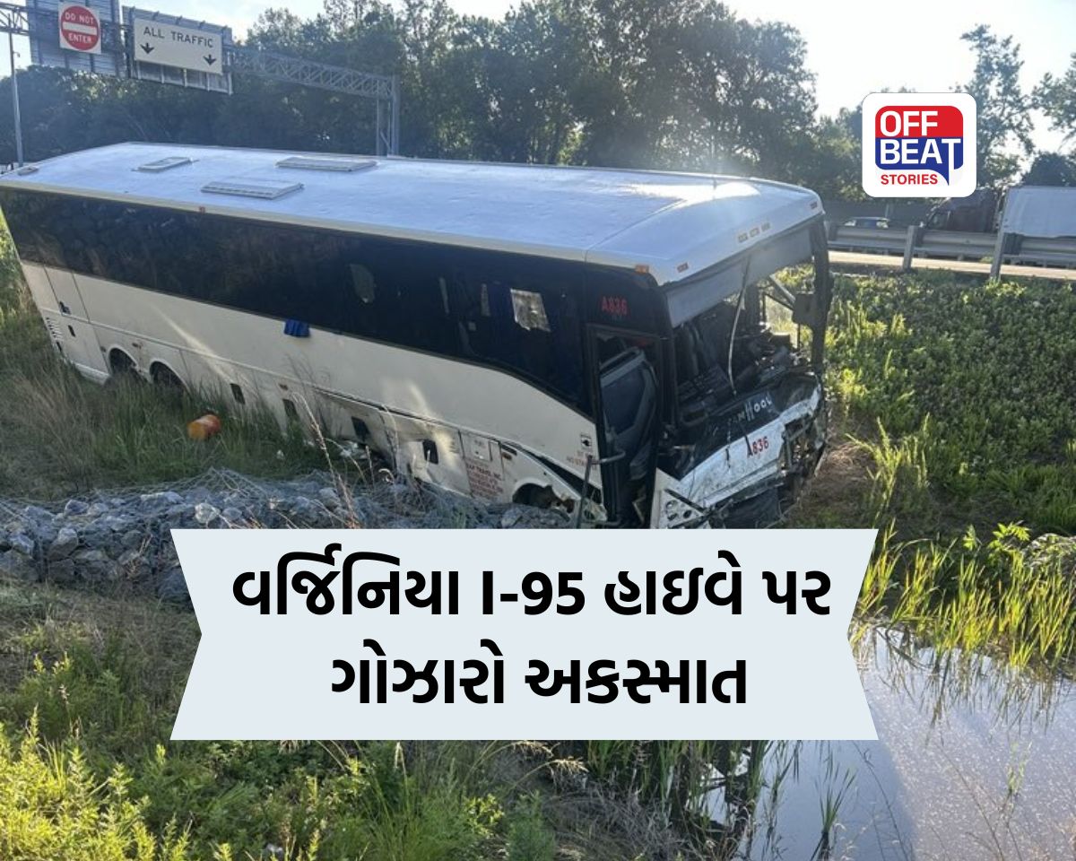 અમેરિકાના વર્જિનિયામાં કાળજું કંપાવતો અકસ્માત