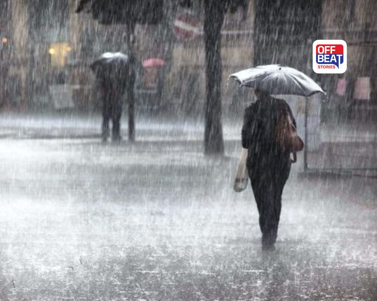 Gujarat Weather Forecast: Heavy Rain Expected for 6 Days