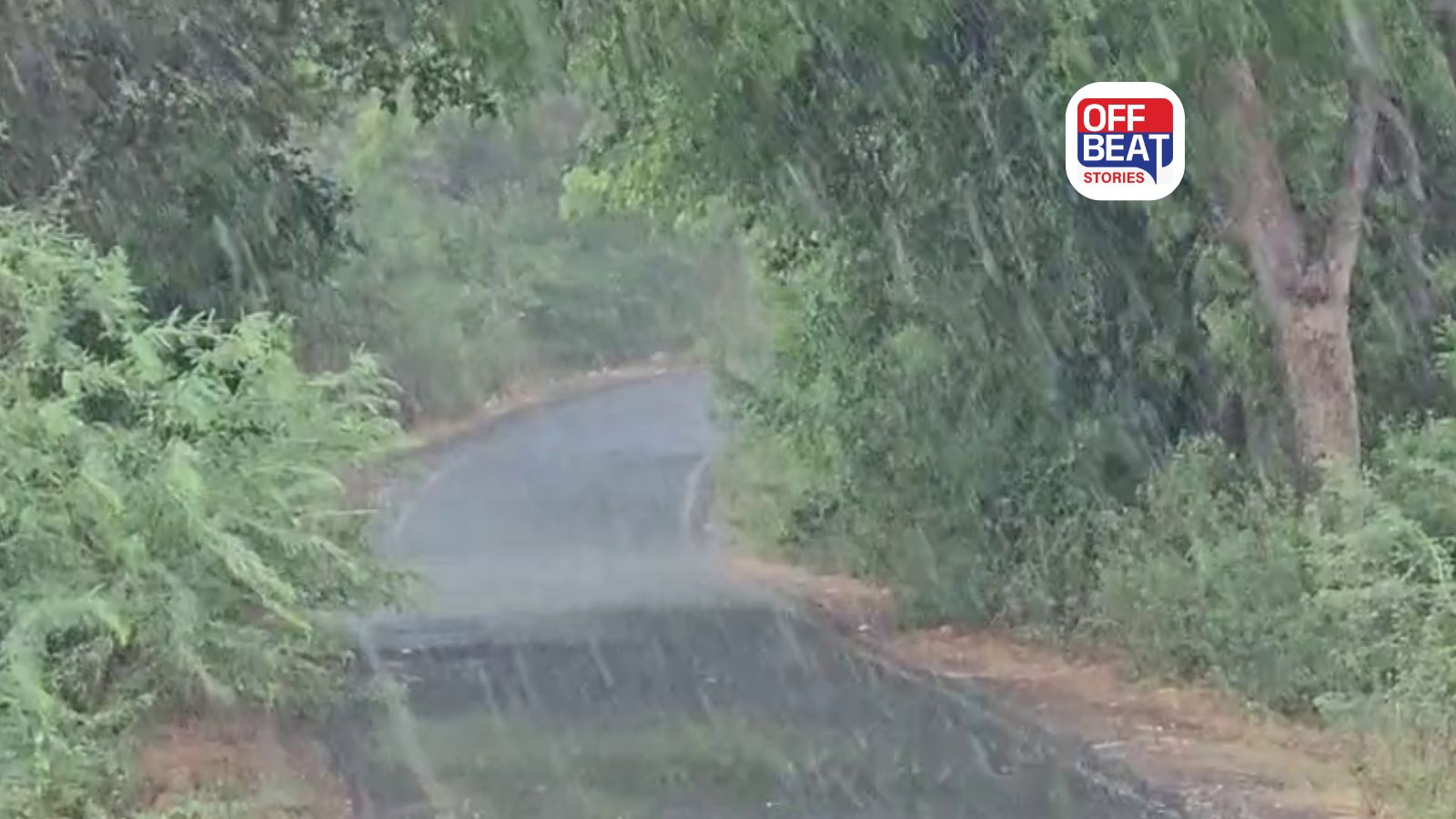 ગુજરાતમાં ચોમાસાની એન્ટ્રી!