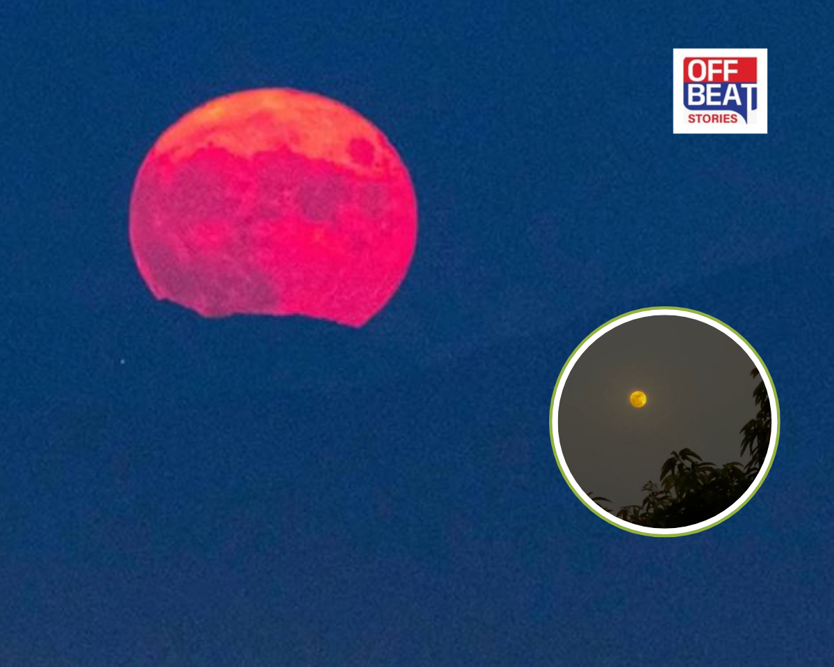 આજે આકાશમાં જોવા મળશે દુર્લભ 'બ્લૂ મૂન'