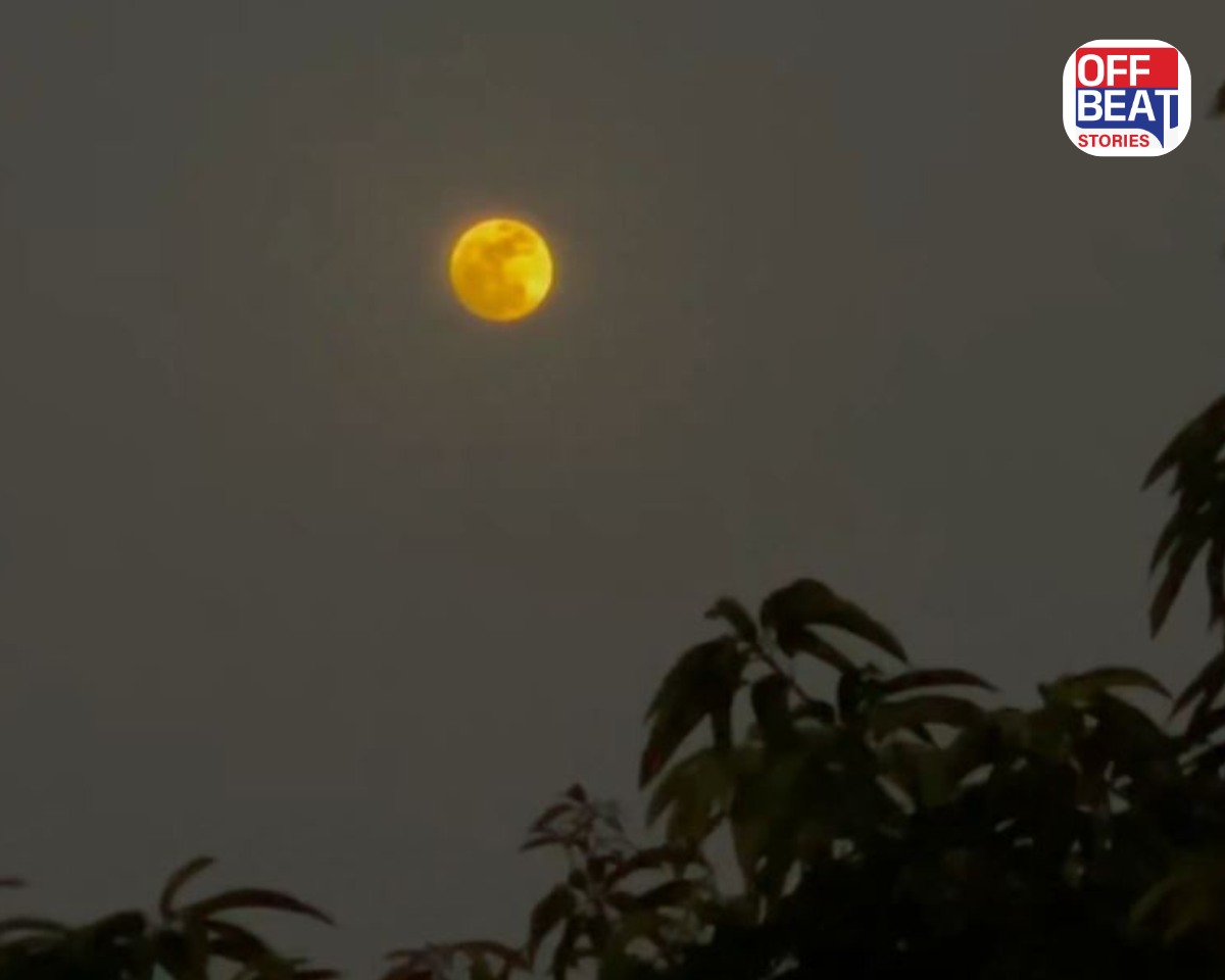 આજે આકાશમાં જોવા મળશે દુર્લભ 'બ્લૂ મૂન'