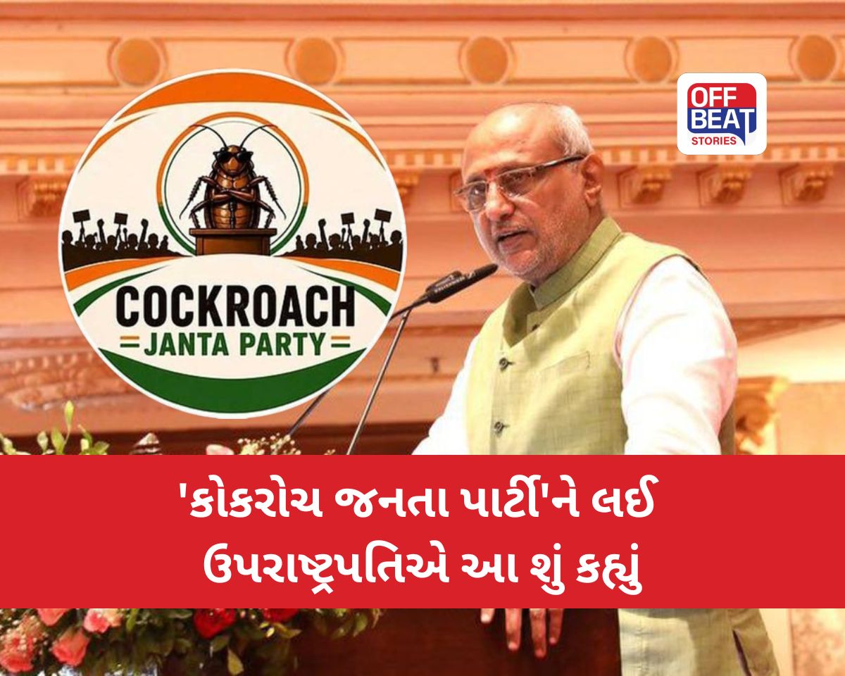 "કેટલાક લોકો અચાનક ચારેબાજુ દેખાય છે, આવી લોકપ્રિયતા વધુ ટકતી નથી"