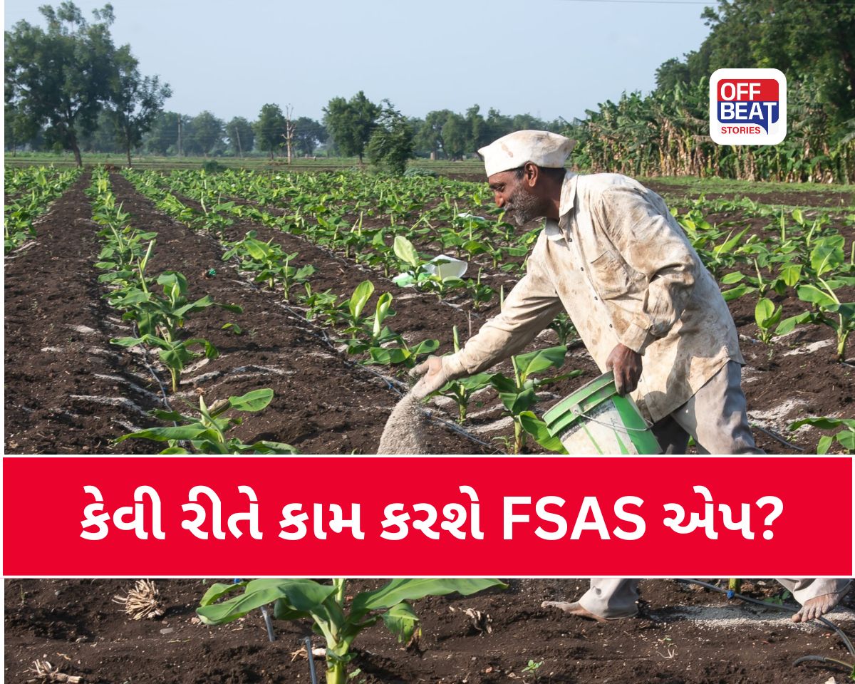 ગુજરાતમાં ખાતરની કટોકટીનો ડિજિટલ અંત!