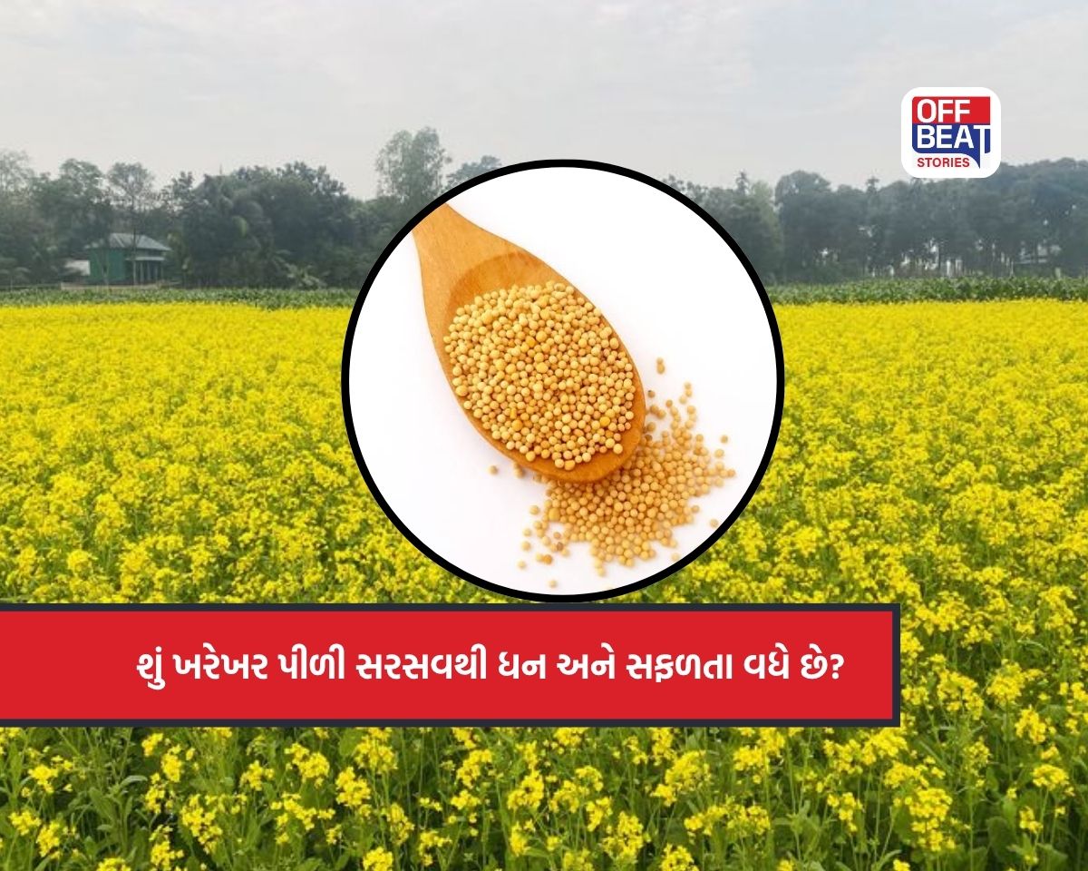 Yellow Mustard