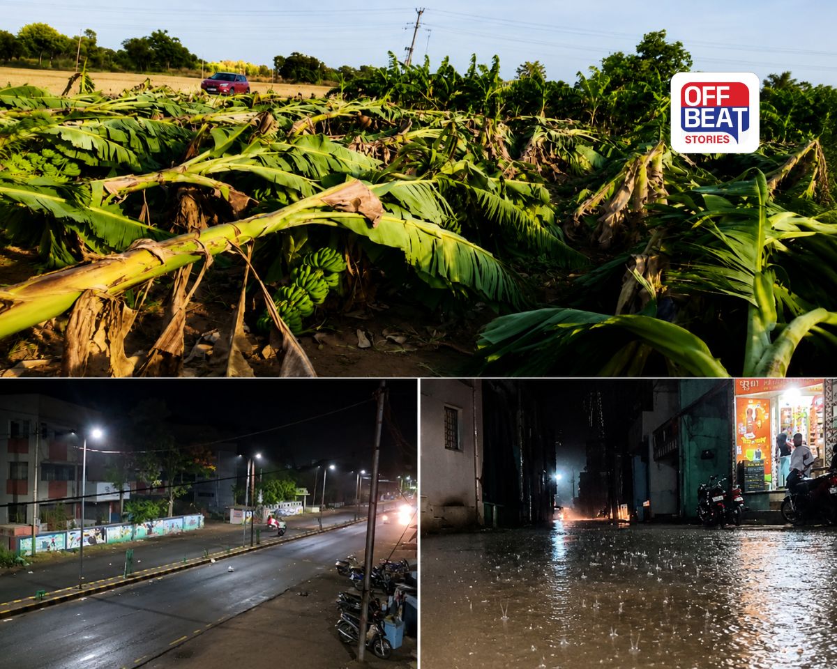 Gujarat Rain Pre-Monsoon Storm Update