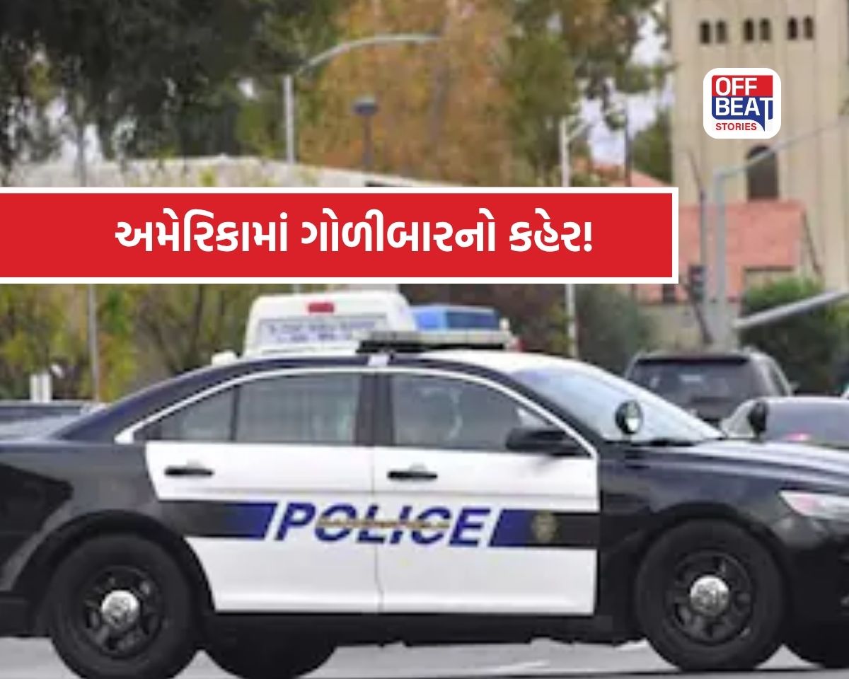 અમેરિકામાં અંધાધૂંધ ફાયરિંગ