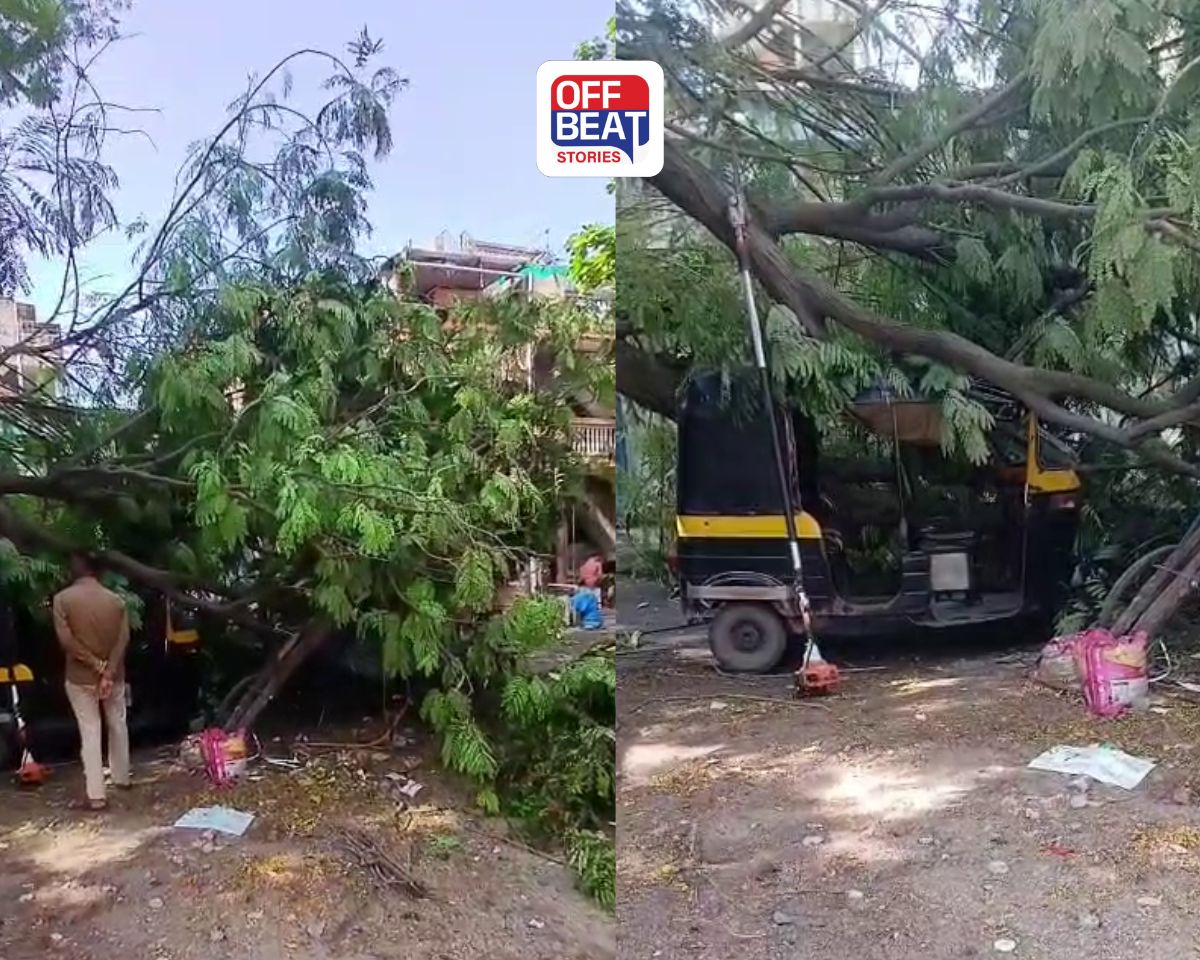 સુરતમાં કુદરતનો કહેર