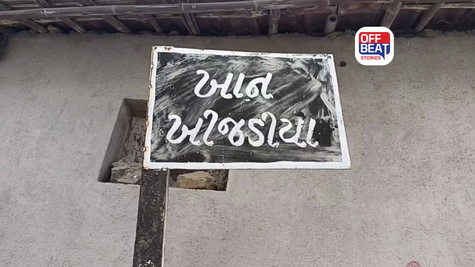 સિંહોના ગઢમાં શ્વાને ફાડી ખાધું બાળક!
