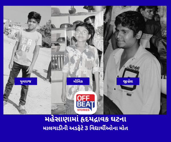 Mehsana News, Train Accident, Railway Track Accident